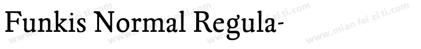 Funkis Normal Regula字体转换